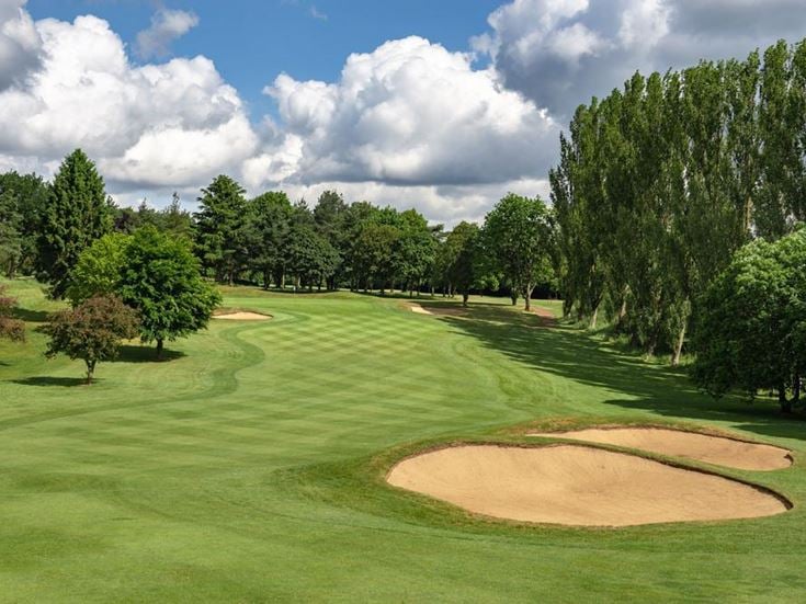 a golf course with trees